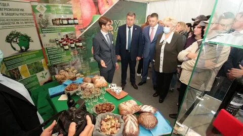 Здоровье мичуринск