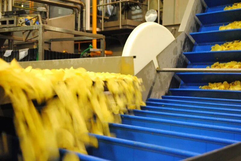 завод чипсов. из чего делают чипсы. производство чипсов. завод спсов лнй в россии. фабрика чипсов лейс.