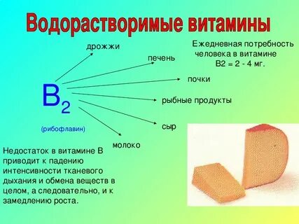 Сыр молоко и дрожжи