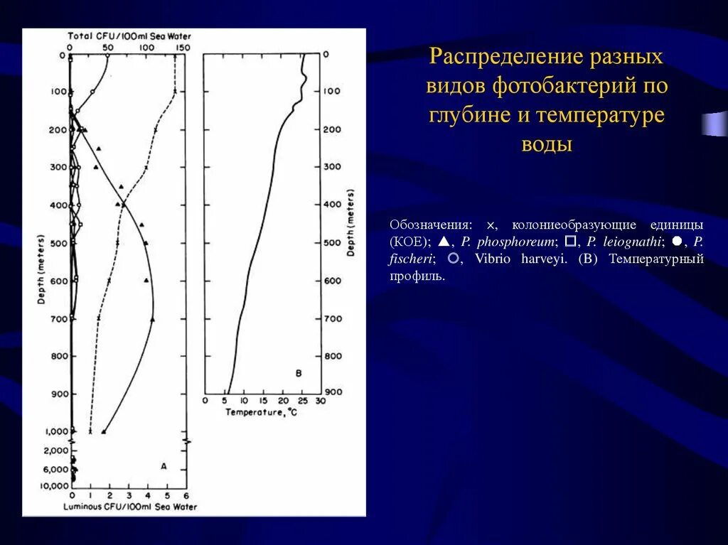 Температура воды это фактор. Распределение температуры воды по глубине. +900 Температура. Применение биолюминесценции в медицине. Температура по глубине Сыктывкар.