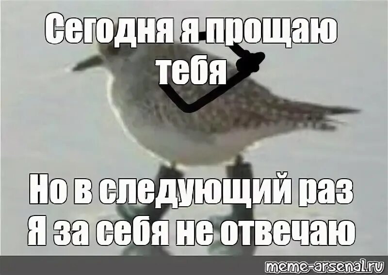 Не разу не ответил