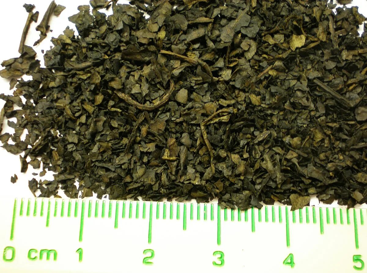 Salvia extract. Шалфей (сальвия дивинорум). шалфей предсказателей (salvia divinorum). сальвия шалфей предсказателей. сальвия дивинорум экстракт.