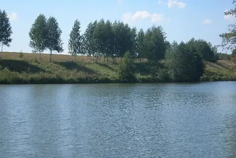 Каменка курская область