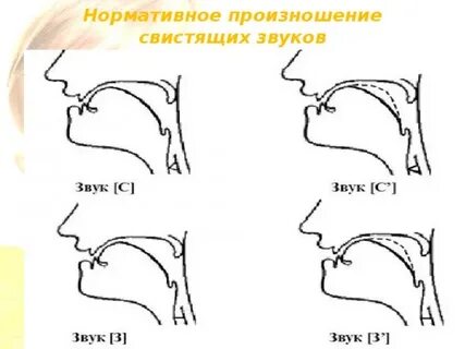 Произношение звуков изучает