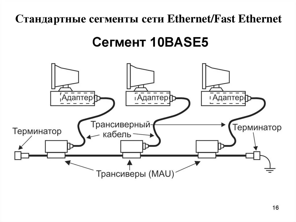 Сегмент в 10 2