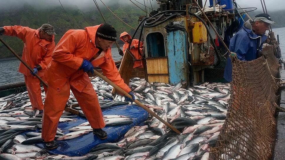 рыбак востока. рыбак востока. рыбный промысел на камчатке. рыбак востока. камчатка рыбалка река.