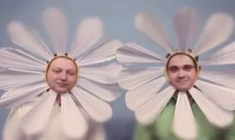 Заключенные ромашки