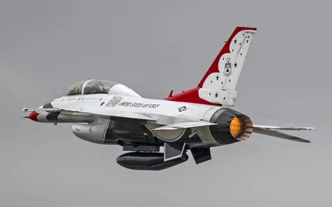 Dynamic falcon