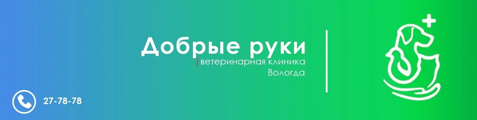 Добрые руки ветеринарная клиника Вологда. Ветклиника добрые руки. В добрые руки ветеринарная клиника. Вологда добрые руки ветеринарная клиника на Южакова. Ветклиники вологда телефон