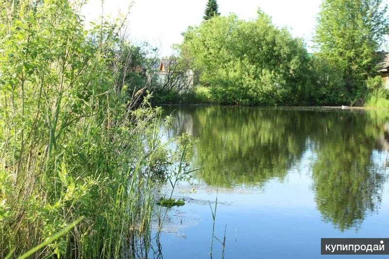 Дача рядом с водой. Кобрино СНТ пруды купаться. Пруд в СНТ Волгоград. Пруд у СНТ берёзово. Пруд на СНТ три сестры.