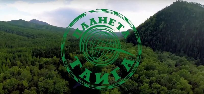 Хочу в тайгу. Горное озеро сулук. Рельеф тайги дальнего востока. Планета тайга. Планета тайга комсомольск-на-амуре.