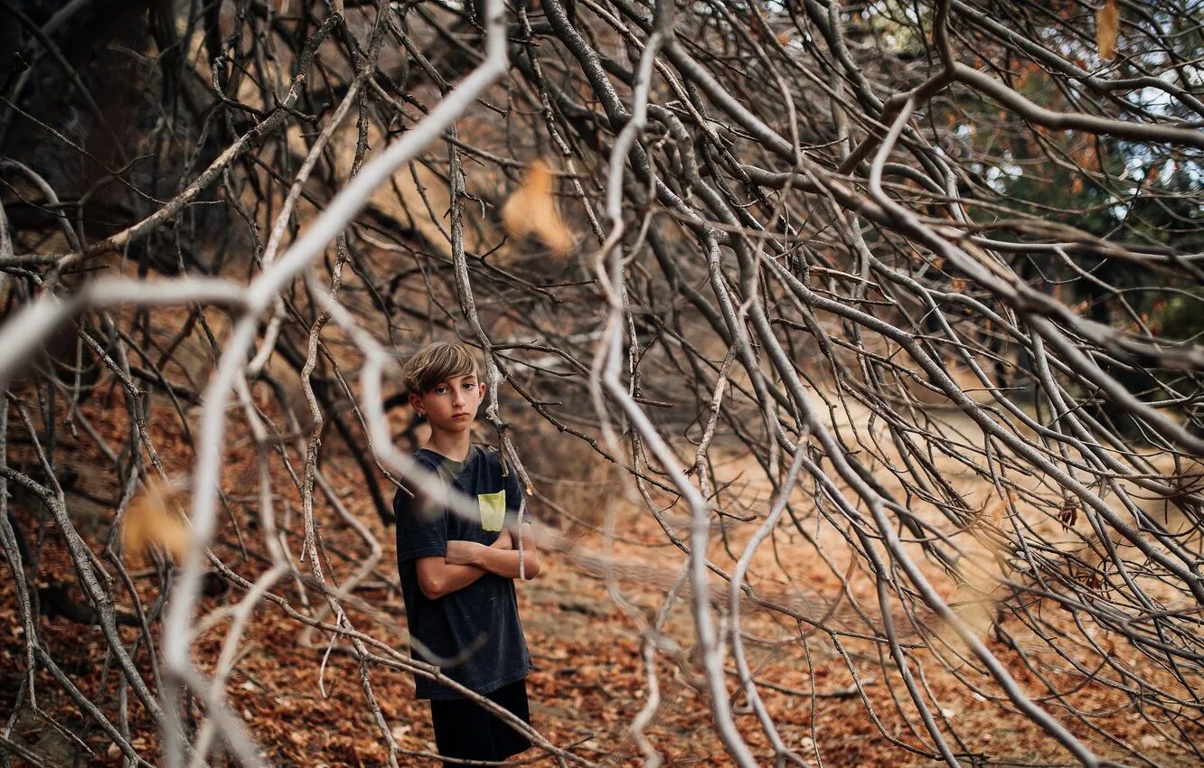 The boy the tree. Мальчик на дереве. мальчишка на дереве. мальчик ветка лес. мальчик с дерева  the tree boy.