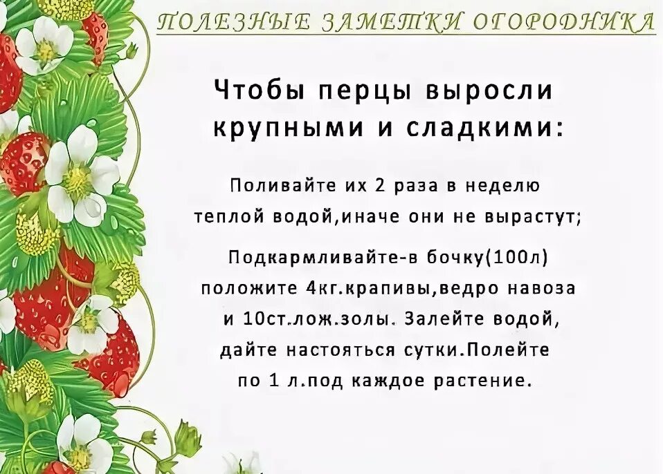 Огород дача советы. Полезные советы дачникам огородникам и садоводам. советы для огородников и садоводов. полезные советы для огородников. полезные советы для сада.