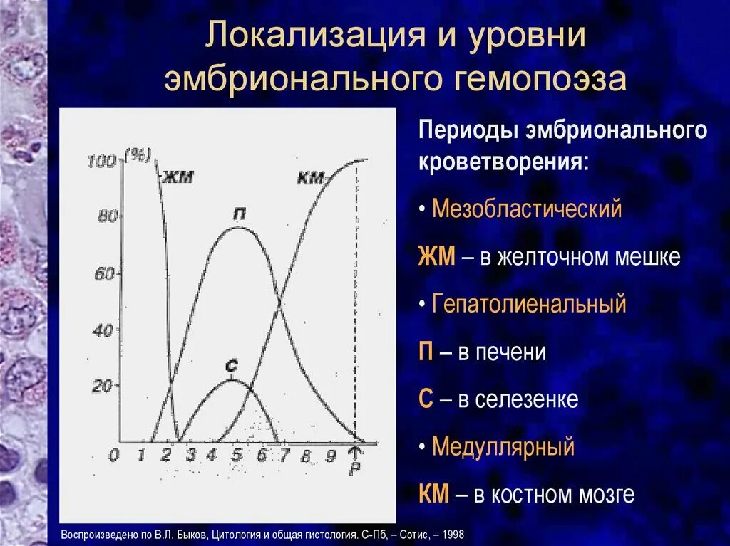 Эмбриональный гемопоэз. Периоды эмбрионального гемопоэза. Мезобластический период эмбрионального кроветворения. Этапы эмбрионального гемопоэза. Мезобластический этап гемопоэза.