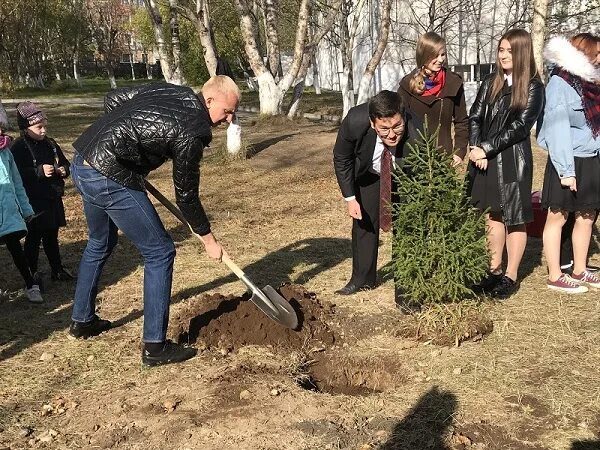 Гимназия 39 петропавловск. 39 Школа Петропавловск-Камчатский. Гимназия 39 Петропавловск-Камчатский учителя. Высадка лесов. Школа ель.