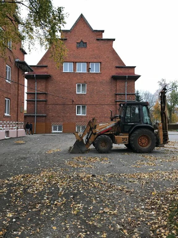 Гимназия вектор зеленоградск