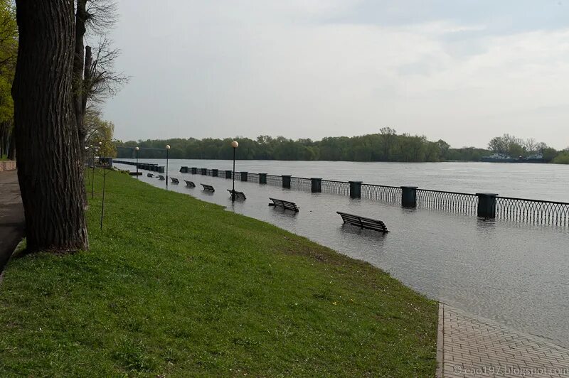 Уровень воды сож в славгороде сегодня реке. Набережная реки СОЖ. Разлив СОЖ. Река СОЖ Сорокина яма. Гидроузел на реке СОЖ.