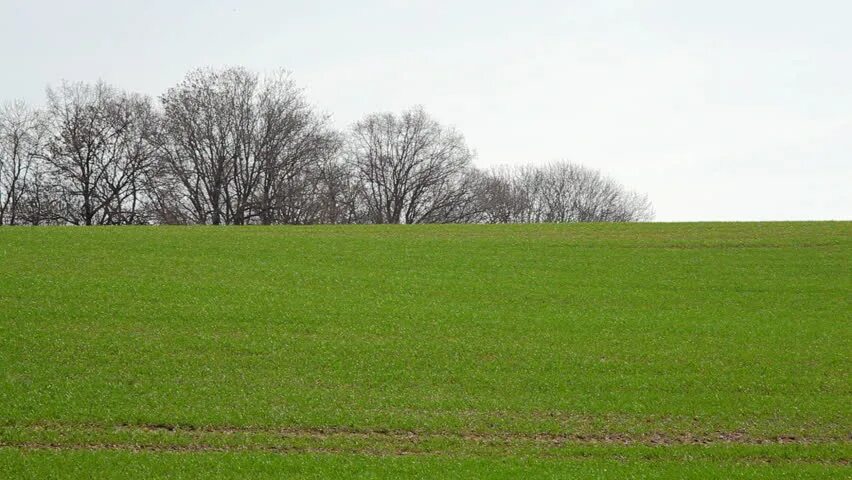 I m in the field. Grassy hill. aerial photo grass. field texture. grass hills png.