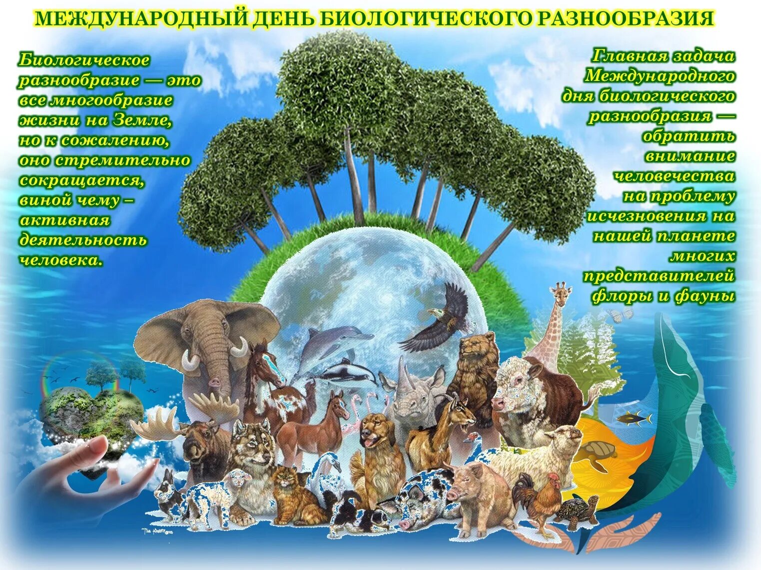 22 мая день биологического разнообразия. Международный день биологического разнообразия. международный день сохранения биологического разнообразия. биологическое разнообразие. всемирный день биоразнообразия.