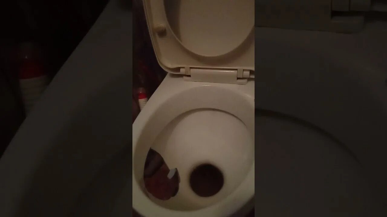 Трещина в туалете