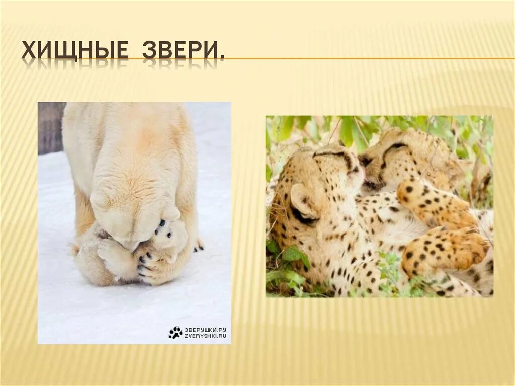 Будем хищного зверя