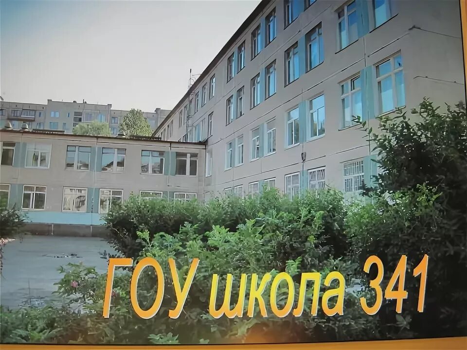 341 школа невского. Школ341. Школа 341. Школа 341 Москва.