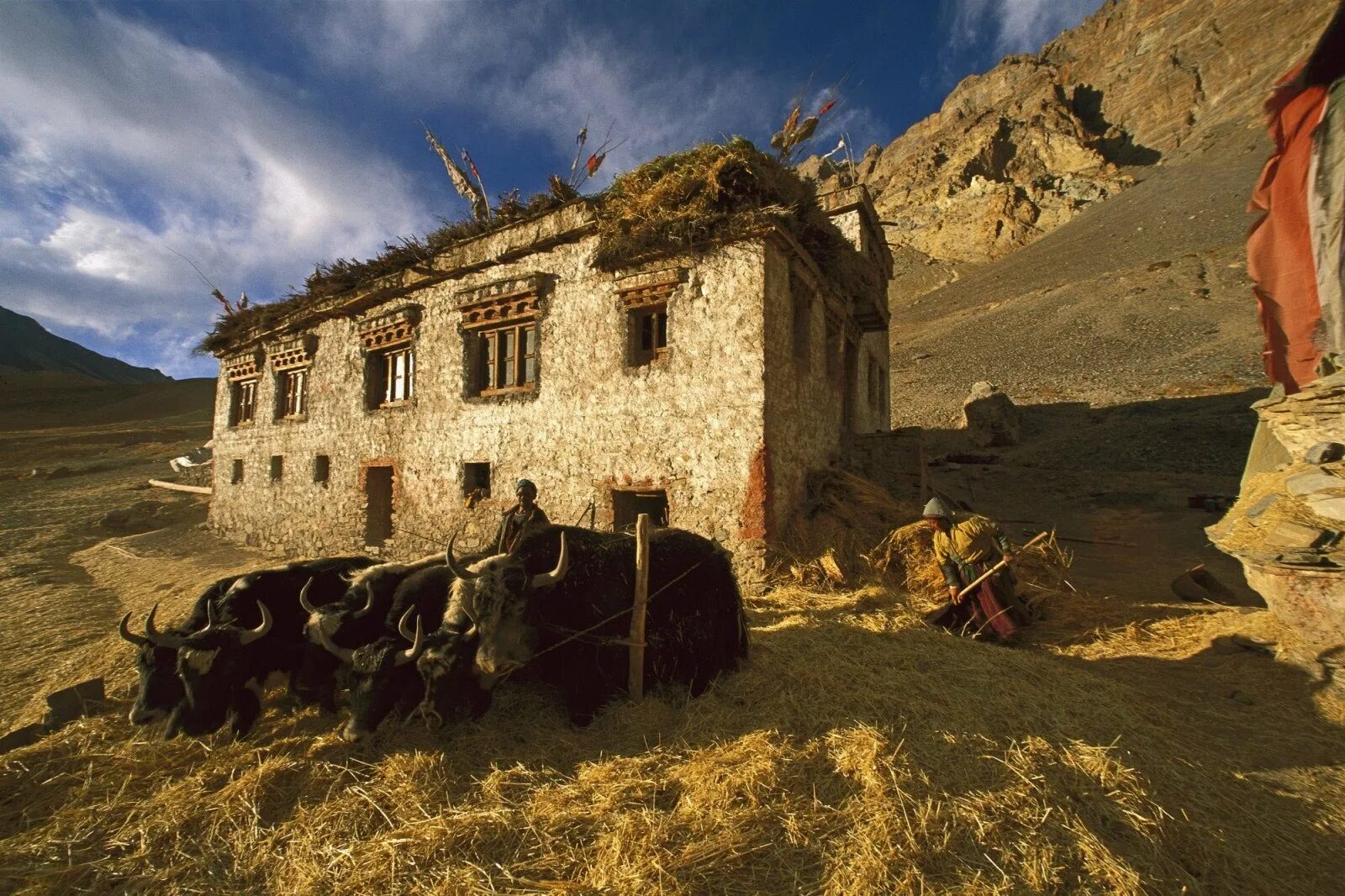 Кишлак фото песен. Кавказская сакля аул в горах. Сакля жилище в горах. Дагестан сакля аул. Сакли Ингушетии.