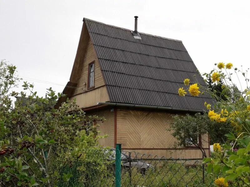 Сады мга лен обл. Садоводческий массив михайловский ленинградская область. Дачи мга. Сад массив михайловский лен обл. Дачи во мге ленинградской области.