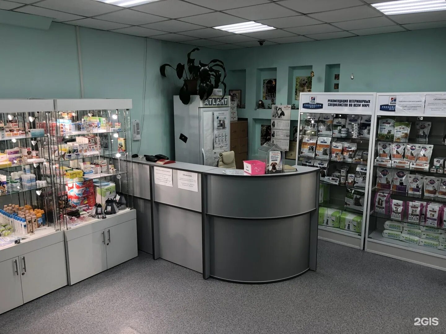 Ветклиника сахвет южно-сахалинск. Ветклиника южно-сахалинск. Сахвет южно-сахалинск. Ветеринарный центр сахвет. Ветеринарная клиника в нижневартовске салманова 4.
