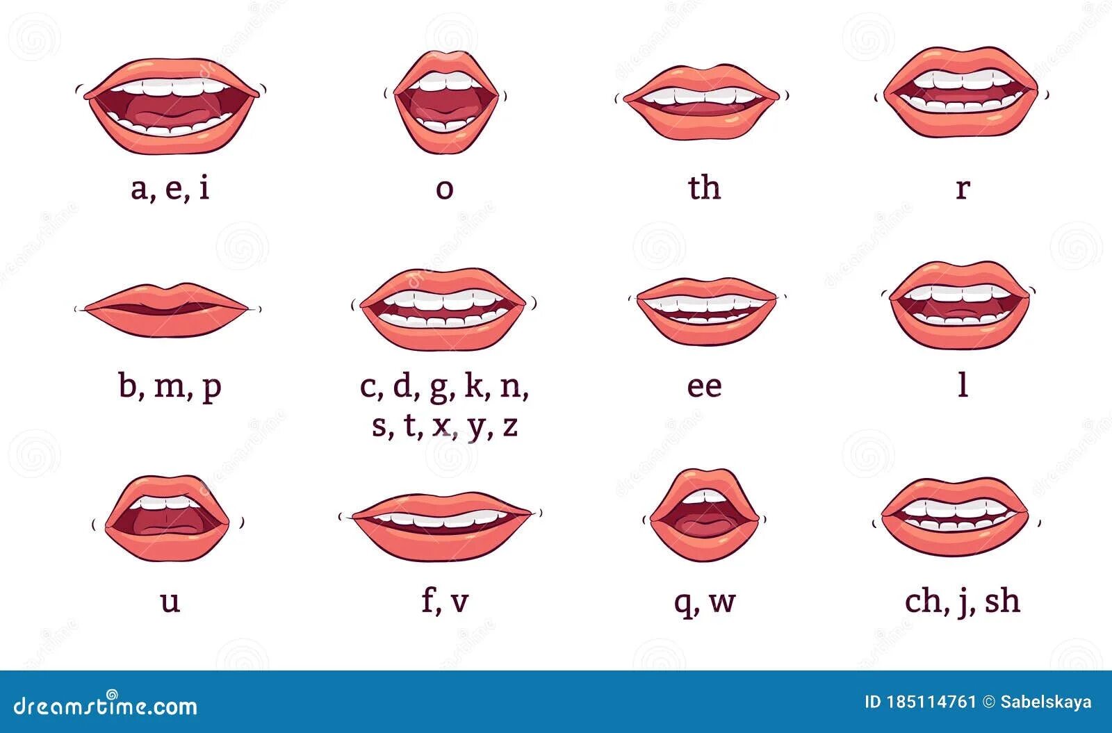 Части губ рта. Губы с зубами рисунок. Губы зубы язык. Губы произносят звуки. Векторные губы с зубами.