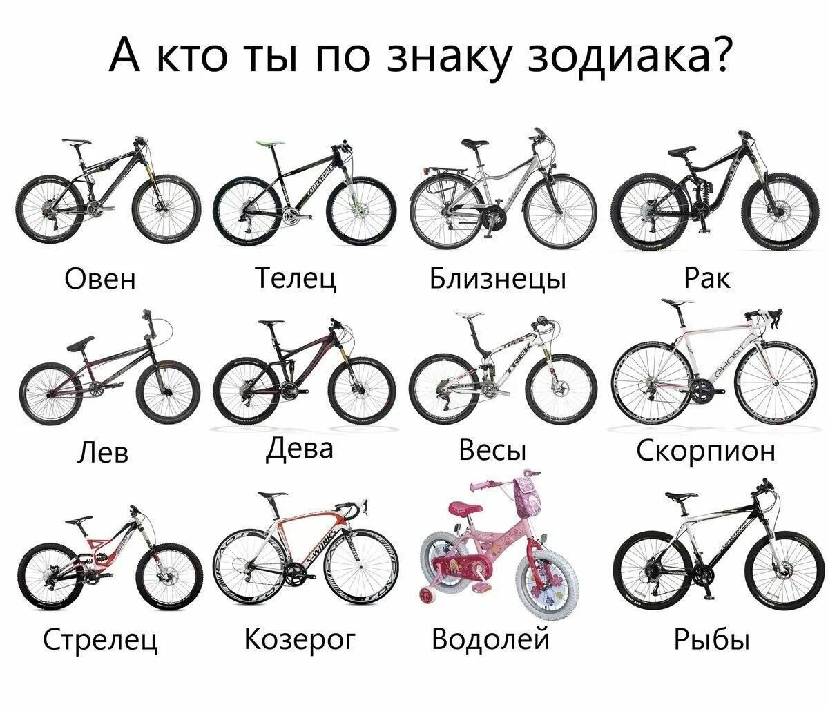 Тест какой ты тип теста