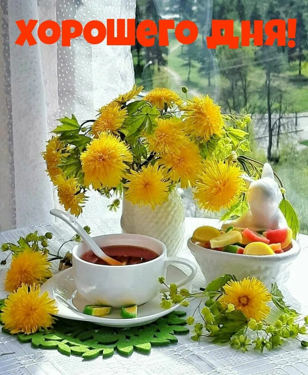 Доброе летнее утро солнышко. Доброе солнечное утро. доброе болячнчное утро. доброго соонечного утро. доброе утро солнечного дня.