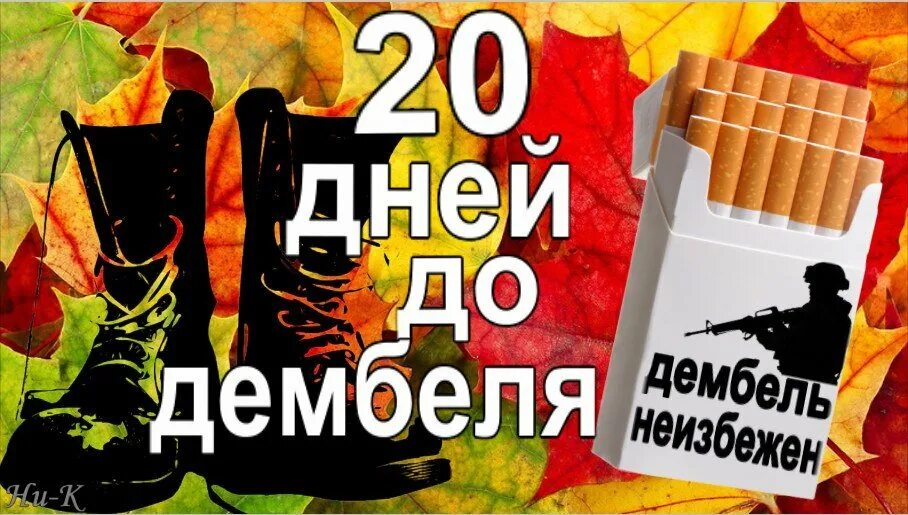 Картинка 20 дней. 20 Дней до дембеля. 20 Дней до ДМБ. Армейская пачка. Поздравление с дембельской пачкой.