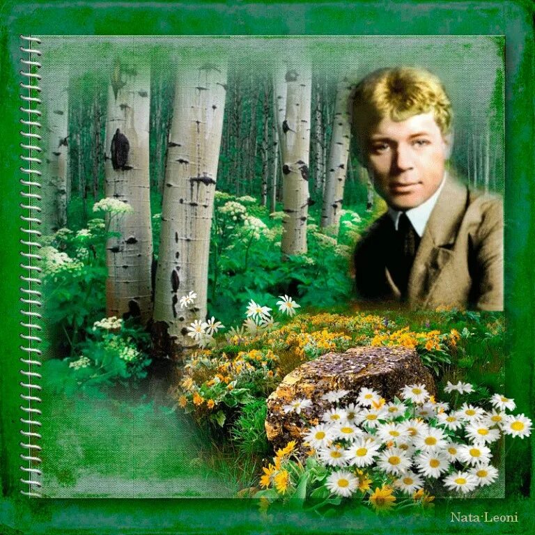 Есенин стих не жалею зову плачу. Сергей есенин. сергей есенин гиф. сергей есенин не жалею не. анимация сергей есенин.
