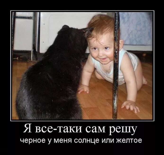 два еврея разговаривают. гениально. уральские пельмени еврейские. сам таки. думаю о тебе цитаты.