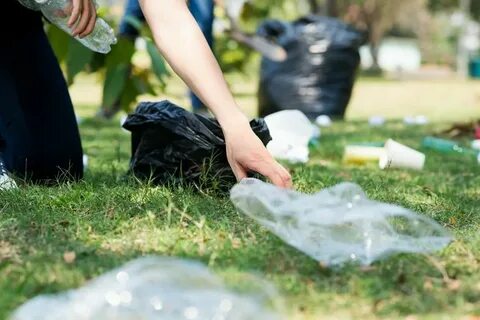 Clean up litter