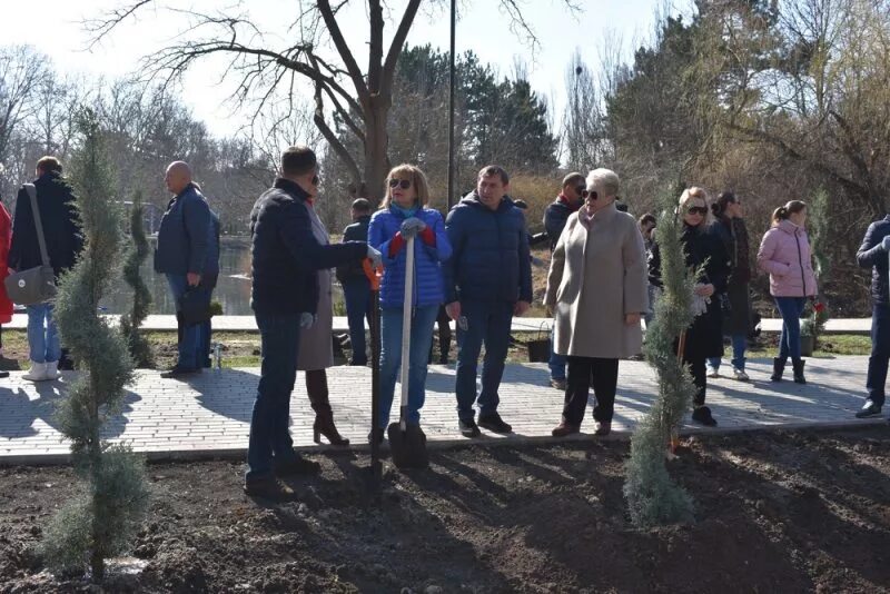 Мероприятия в гагарине сегодня. Гагаринский парк Симферополь. Деревья в Гагаринском парке Симферополь. Высадка кипарисов в Гагаринском парке. Гагаринский парк Симферополь аллея десантникам.