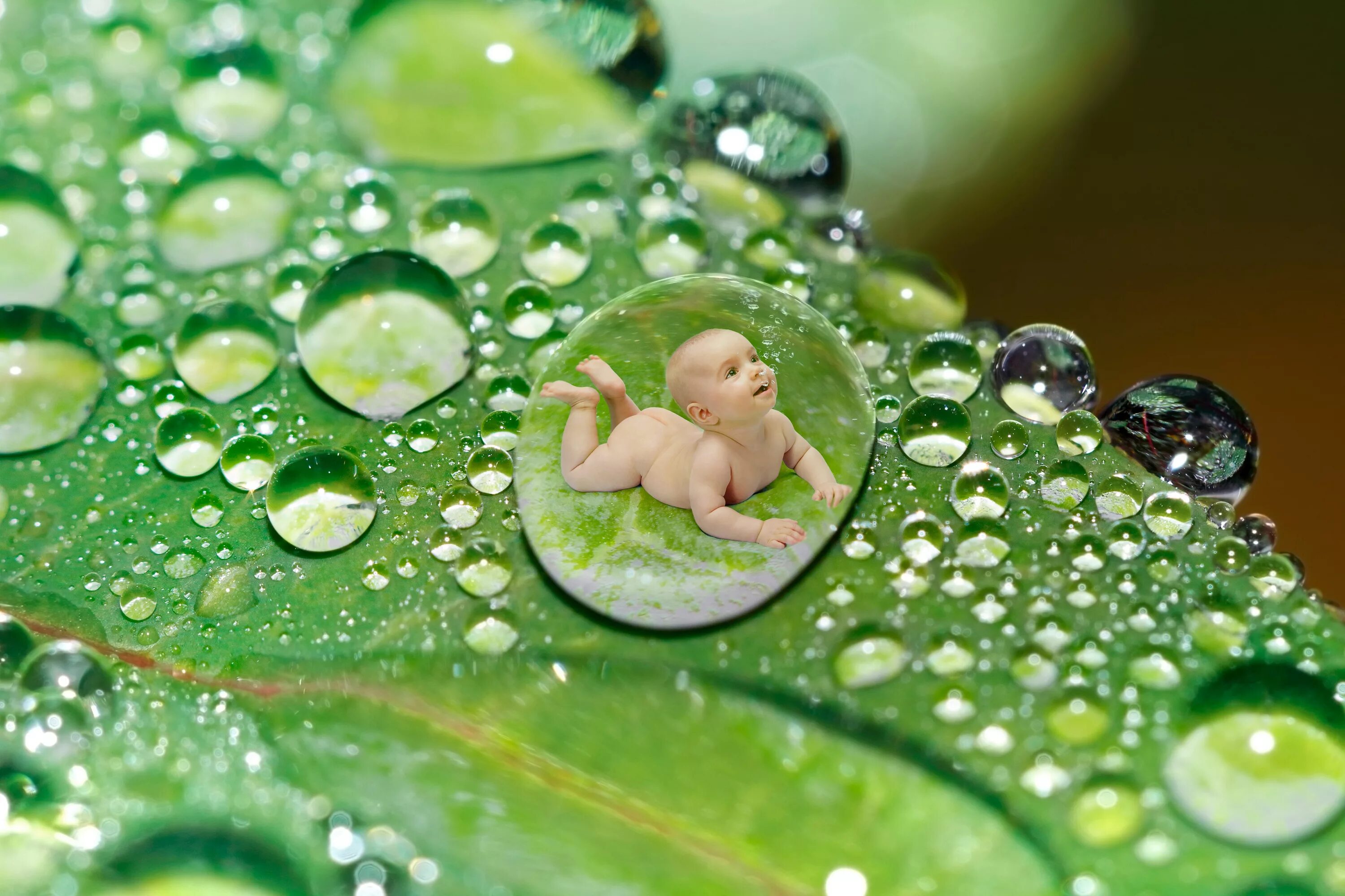 Песня зеленые воды. Капля. Капли воды. Маленькие капельки. Фото капельки воды.