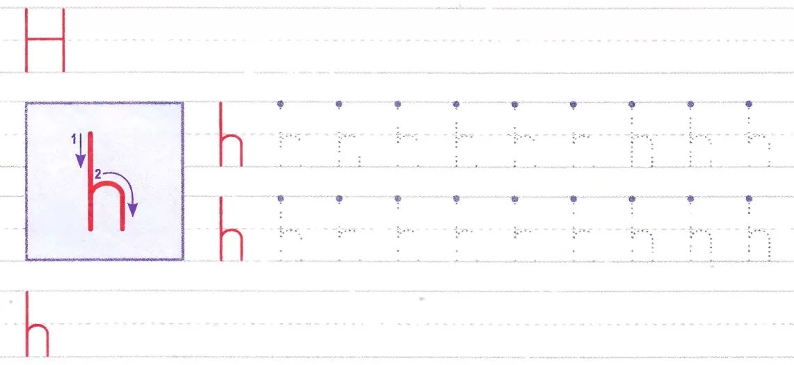 Тренажер буквы английского. Прописи на английскую букву h. Правописание английских букв. Буква h пропись. Буква х английская пропись.