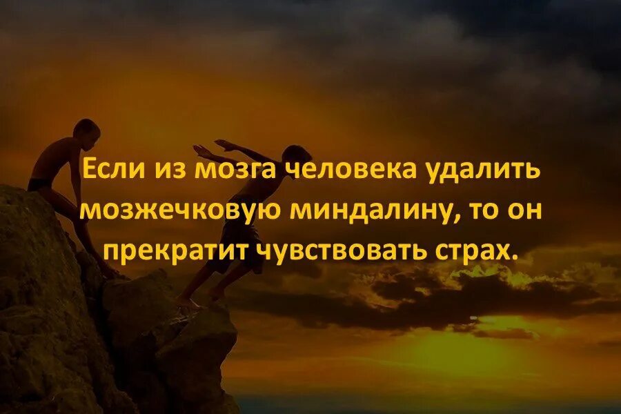 Факт известен служение человеку удаляющийся силуэт. Интересные факты. Занимательные факты. Факты картинка. Интересные факты в картинках.