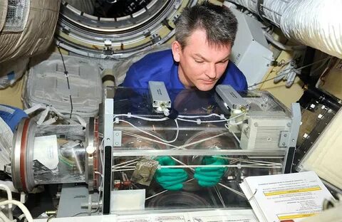 Проводящие исследования ученые выехали на космический объект