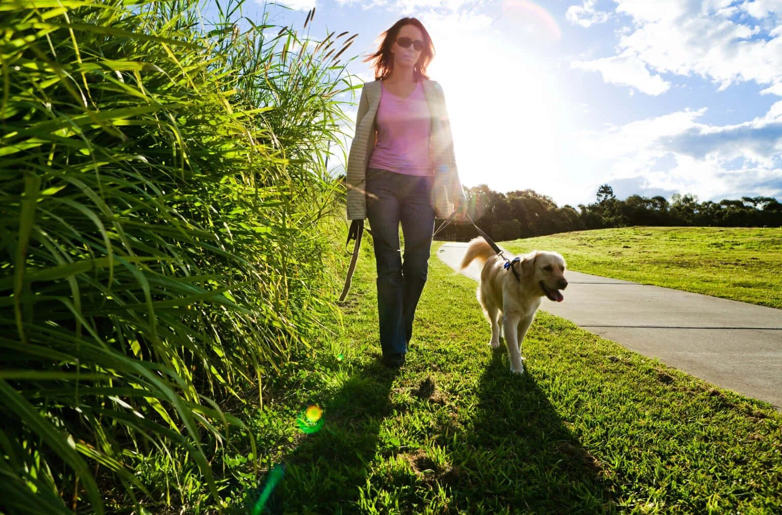 The walking pet. Прогулка с собакой. Прогулки на свежем воздухе. Гулять с собакой. Девушка на прогулке с собакой.