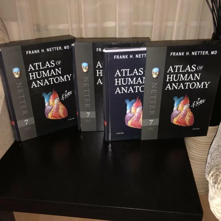 Анатомический атлас Неттера. Фрэнк Неттер атлас анатомии человека. Атлас анатомии человека Фрэнк Неттер 7 издание.