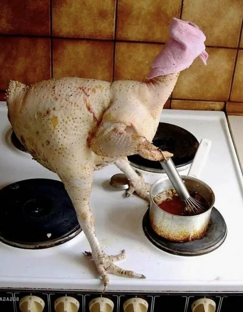 Курица воняет. Курица прикол. Курица приготовленная. Смешные блюда. Курица на кухне.