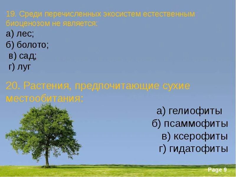 Сигналом к сезонным