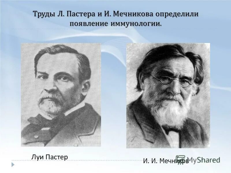 Значение работ пастера и мечникова. Луи пастер открытия в иммунологии. Работы л. Заслуги луи пастера в иммунологии. Илья мечников вклад в микробиологию.