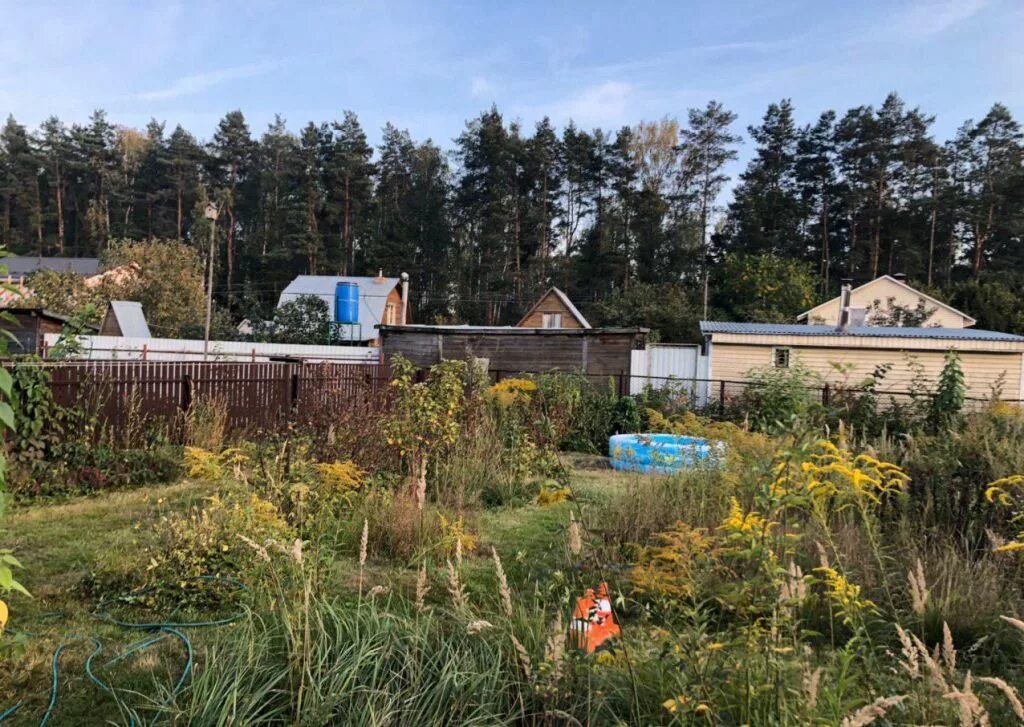 Снт маяк монино. Дача монино. Дача монино. Монино дачи юбилейный. Монино московский садовод снт участок 11.