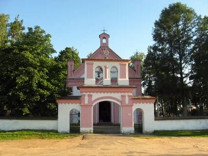 В ракове