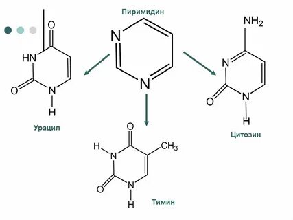 Нуклеотид урацил