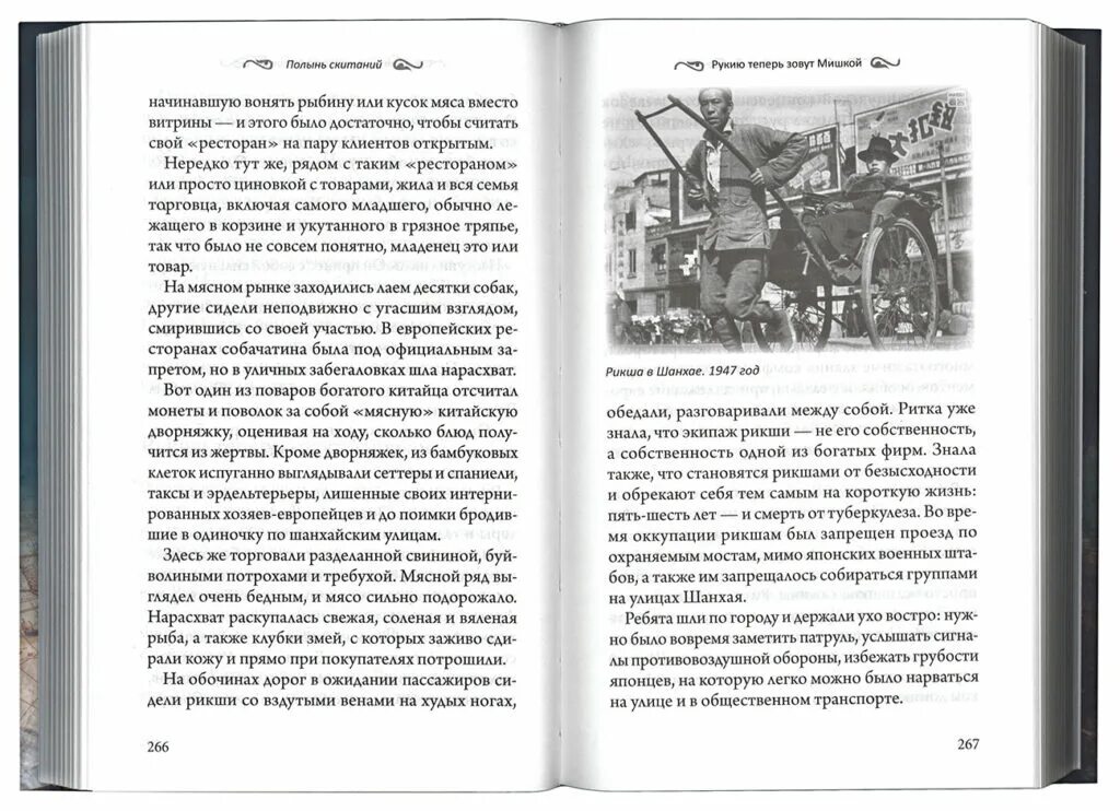Полынь лерха. Полынь горькая стебель. Полынь горькая стебель. Полынь горькая корень. Полынь скитаний ольга рожнева.